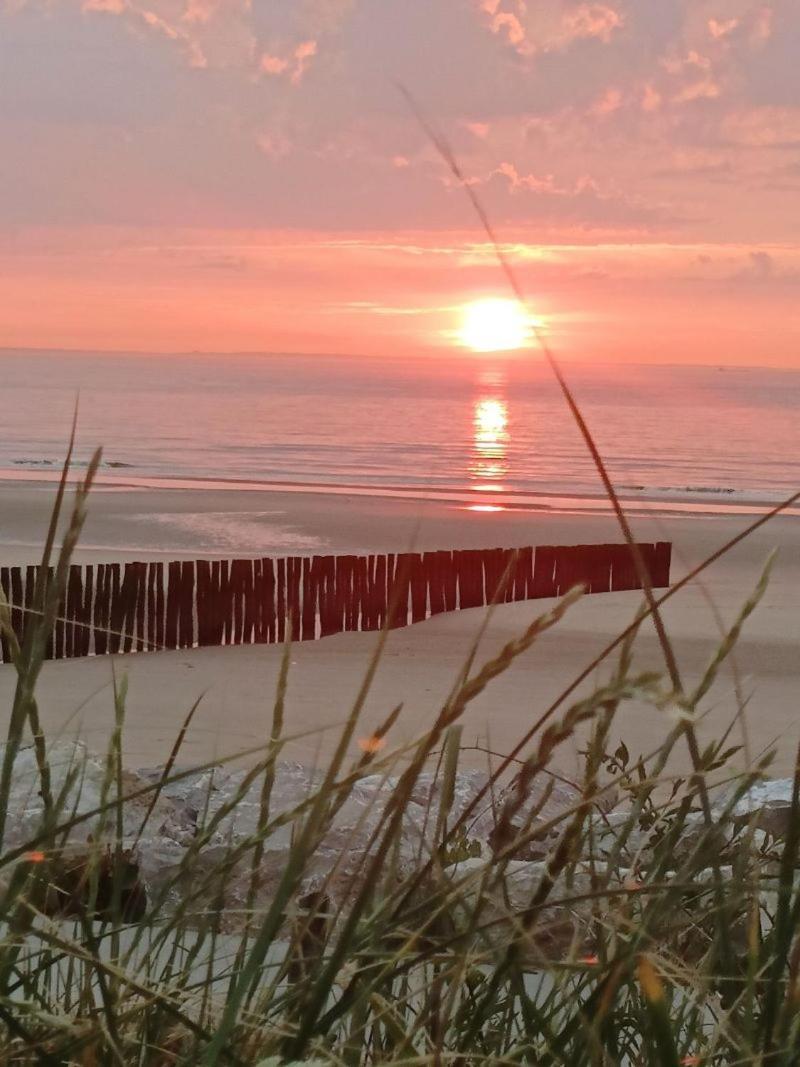 Sangatte Guest House - Studio Room Sunset - Seafront Exterior foto